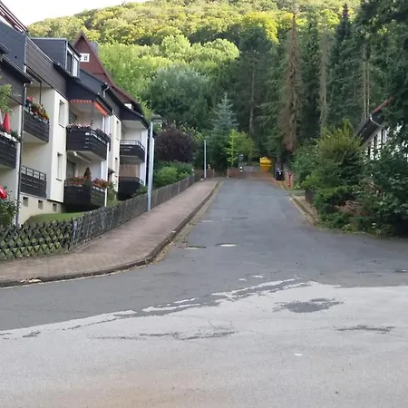 公寓 Ferienwohnung Malia In Waldnaehe Mit Schoenem Balkonausblick