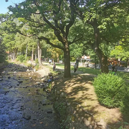 Ferienwohnung Malia In Waldnaehe Mit Schoenem Balkonausblick Appartement *