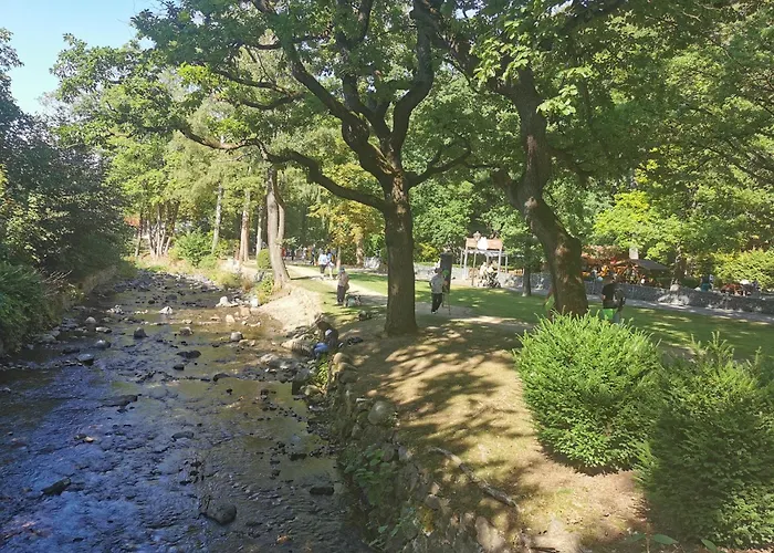 Ferienwohnung Malia In Waldnaehe Mit Schoenem Balkonausblick Appartement *